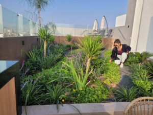 Los techos verdes intensivos cuentan con una capa de sustrato más gruesa para permitir el crecimiento de una amplia variedad de plantas, incluyendo arbustos y árboles.