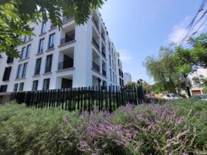 La generación de vegetación en estructuras urbanas es una acción beneficiosa para el medio ambiente, ya que contribuye a la mitigación del cambio climático y la preservación de la biodiversidad.