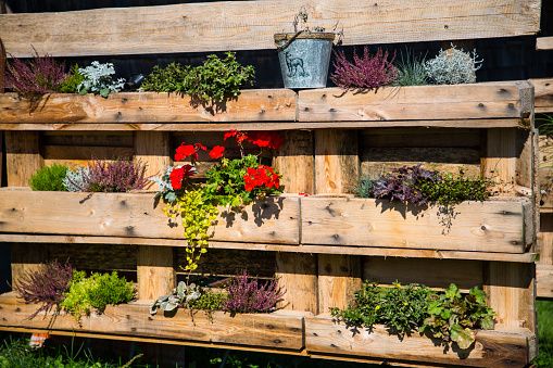 jardin-vertical-con-palets